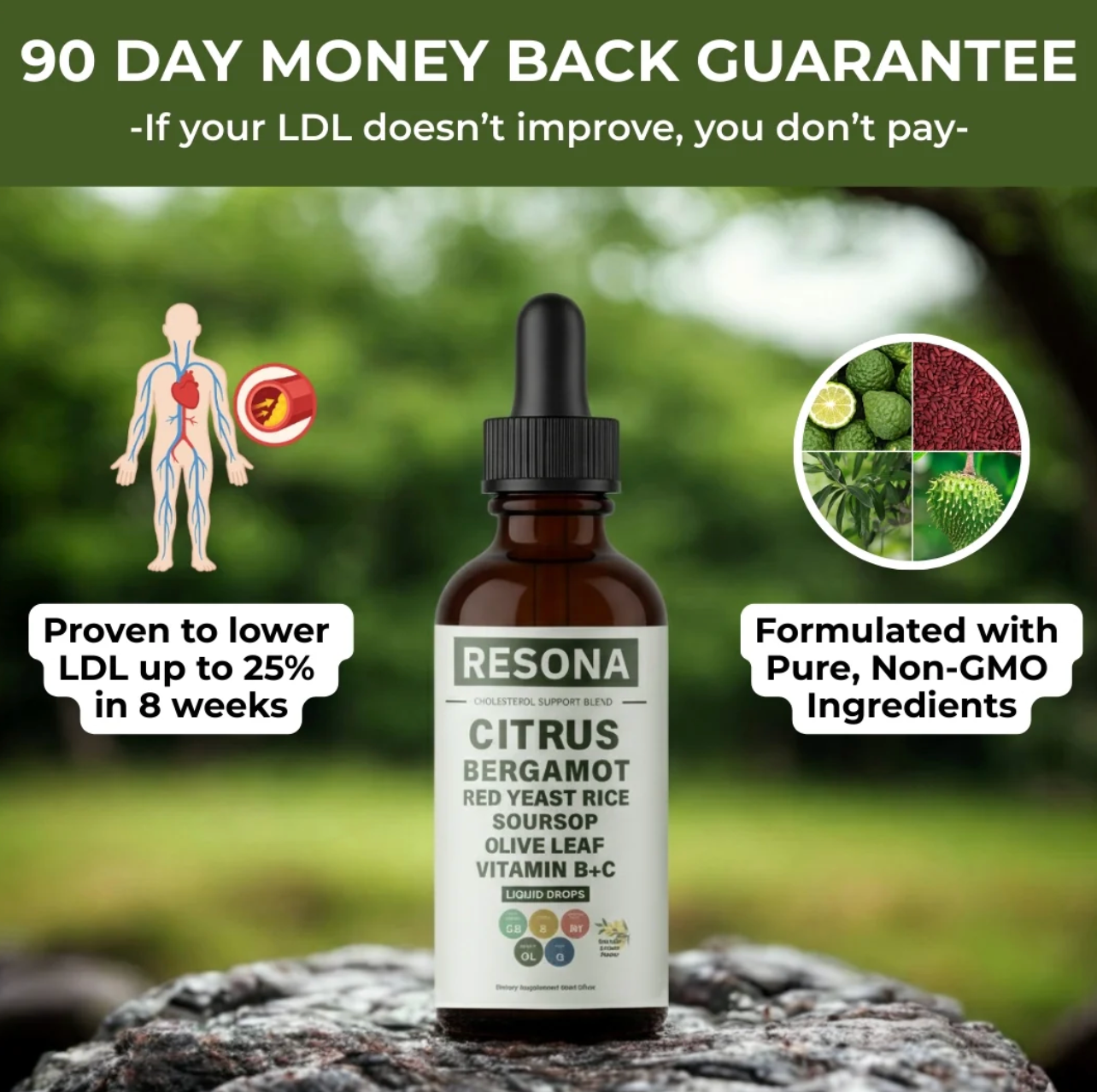 Resona Cholesterol Cleanse