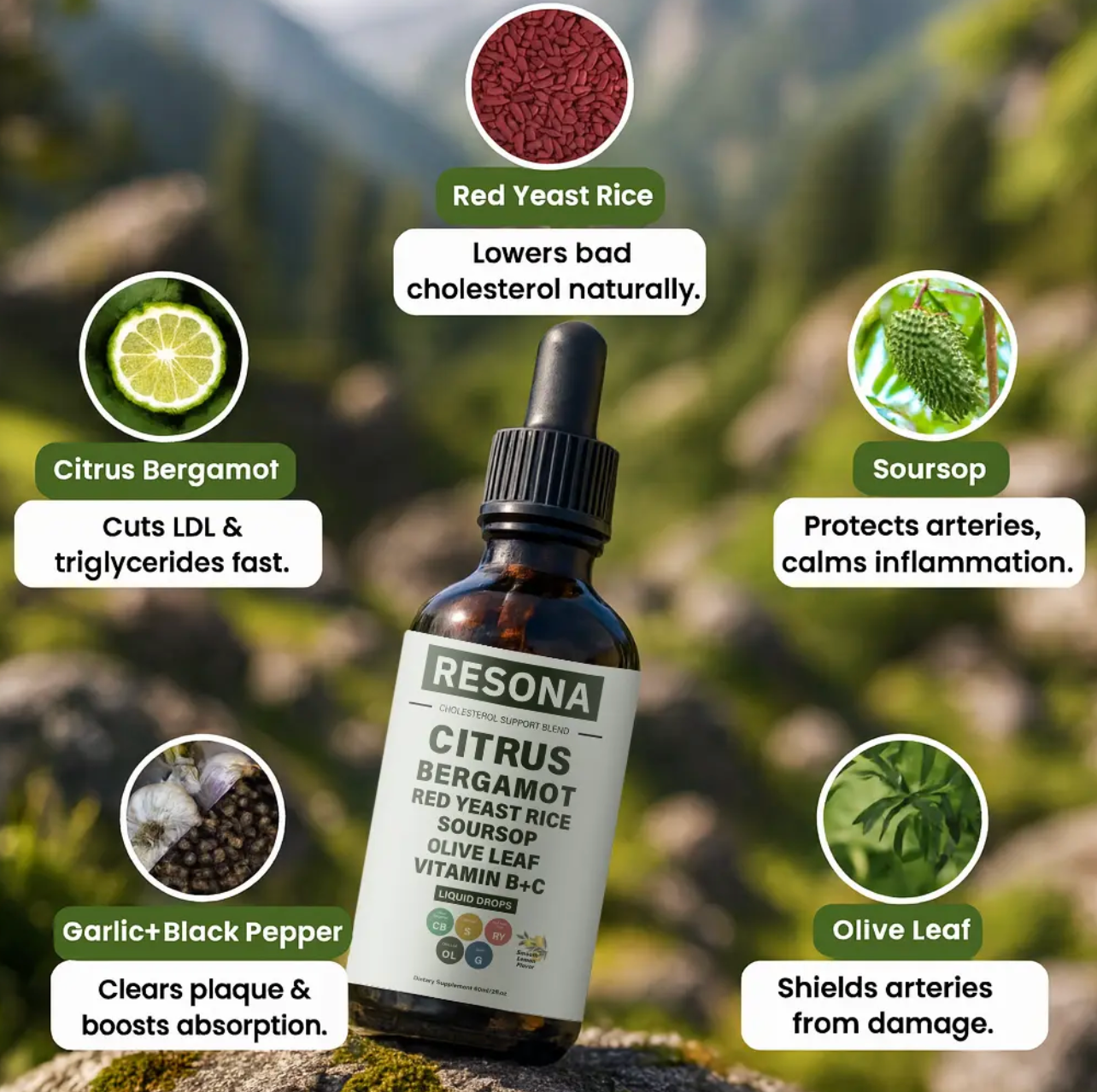 Resona Cholesterol Cleanse