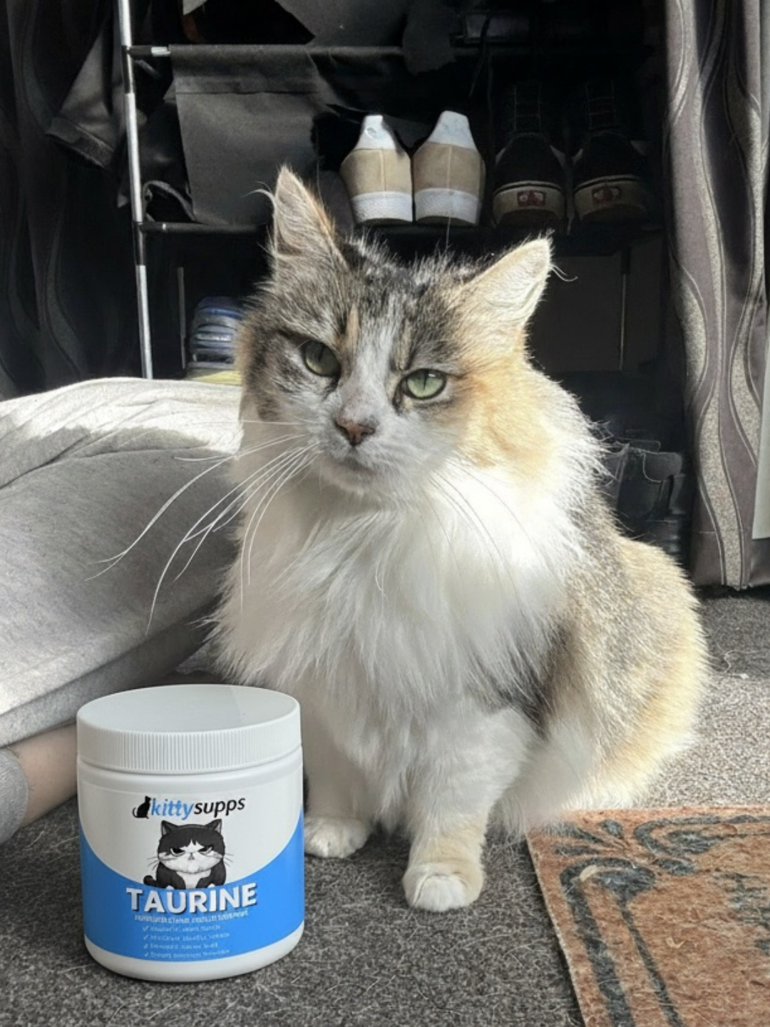 Customer cat with Taurine Powder Cats