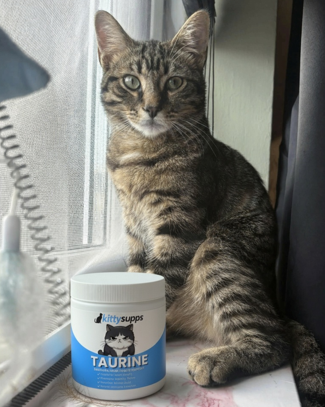 Customer cat beside Taurine Powder Cats